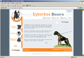 Cyberbox Boxers